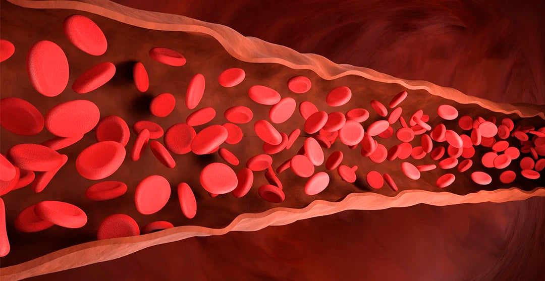 <h4><strong>Nicotinato de metilo:</strong></h4>