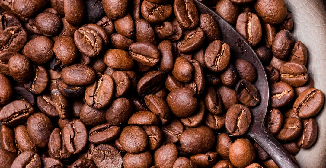 <h4><strong>Carnitina y cafeína:</strong></h4>